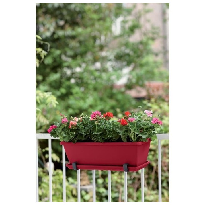 ELHO Balconniere Barcelona 50 - Fruits rouges - Extérieur & Balcon -