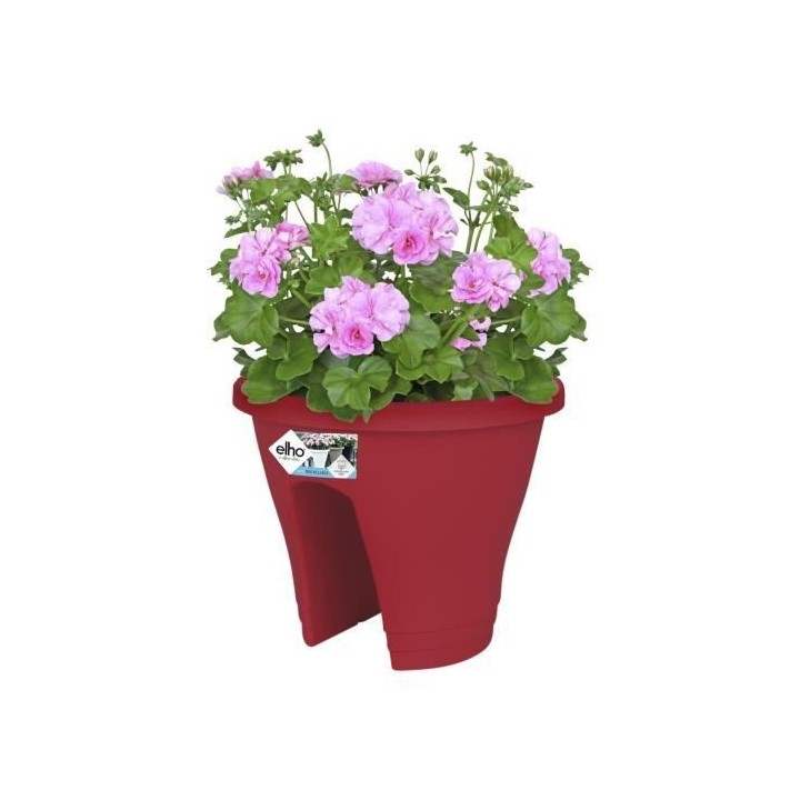 ELHO Bac de balcon Corsica Flower Bridge 30 - Fruits rouges - Extérie