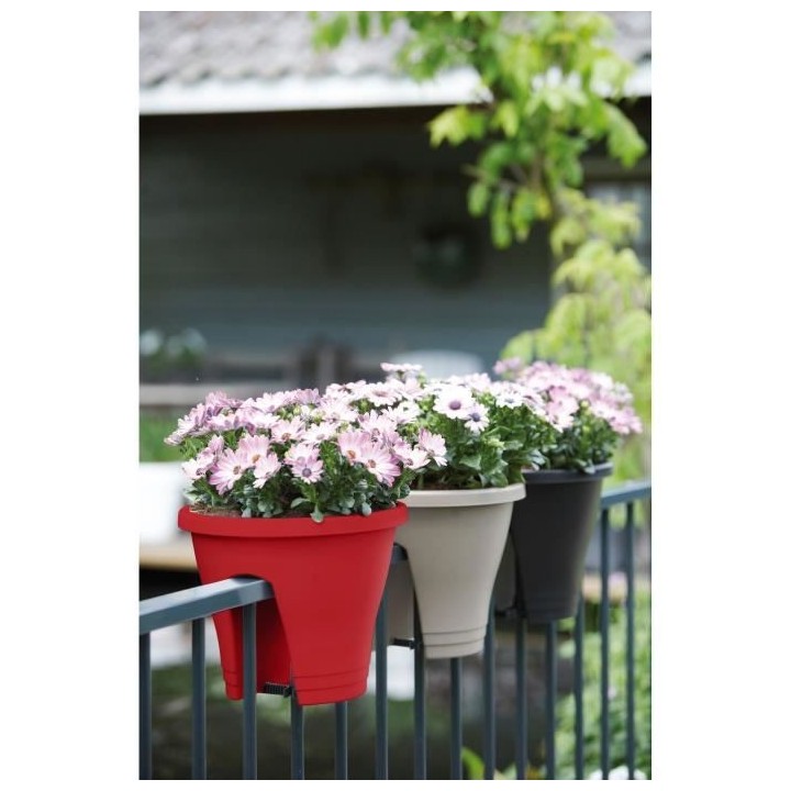 ELHO Bac de balcon Corsica Flower Bridge 30 - Fruits rouges - Extérie