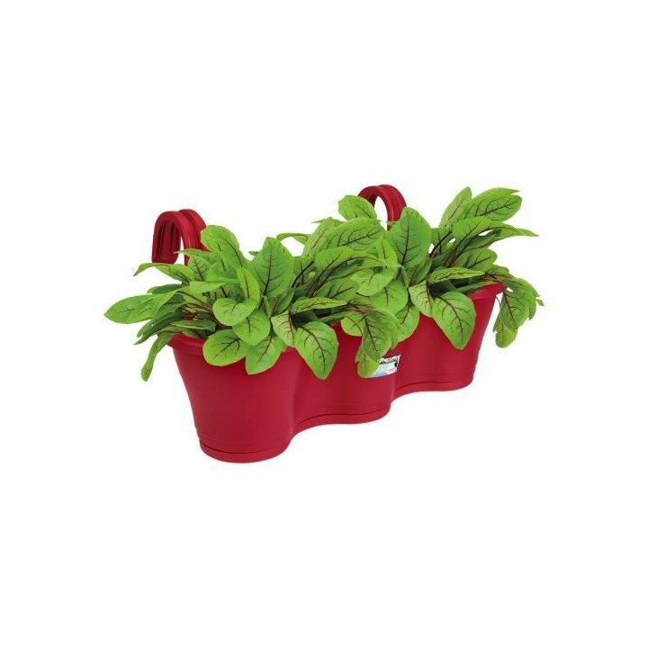ELHO Jardiniere de balcon Corsica Triple - Fruits rouges - Extérieur