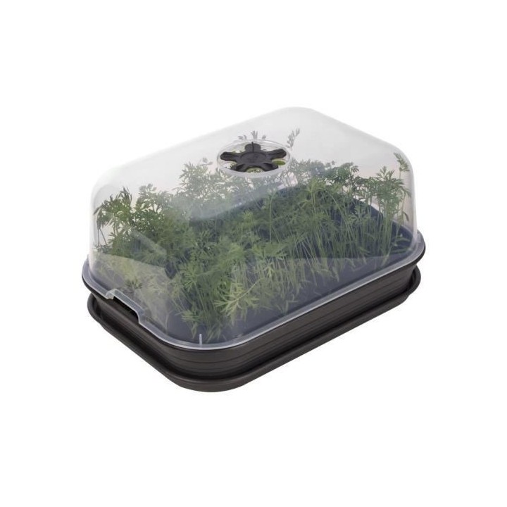 Green Basics Set De Cult Allin1 living noir