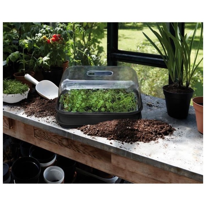 Green Basics Set De Cult Allin1 living noir