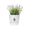 ELHO Pot de fleurs rond Greenville 25 - Extérieur - Ø 24,48 x H 23,31 cm - Blanc