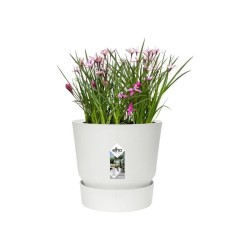 ELHO Pot de fleurs rond Greenville 25 - Extérieur - Ø 24,48 x H 23,31 cm - Blanc