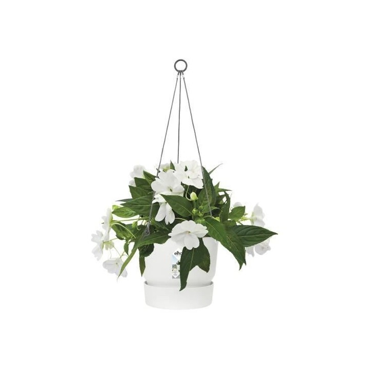 ELHO Pot de fleurs a suspendre Greenville 24 - Extérieur - Ø 23,9 x