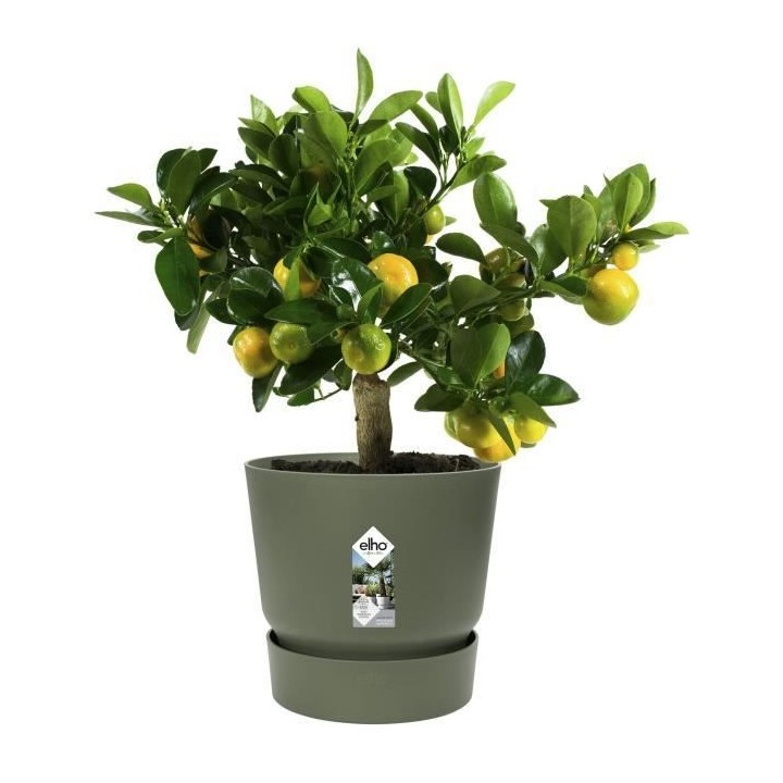 ELHO Pot de fleurs rond Greenville 25 - Extérieur - Ø 24,48 x H 23,3