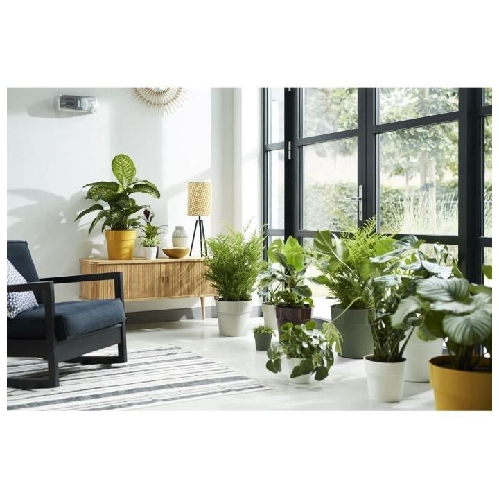 Pot de fleur B.for Original Rond 25 leaf green