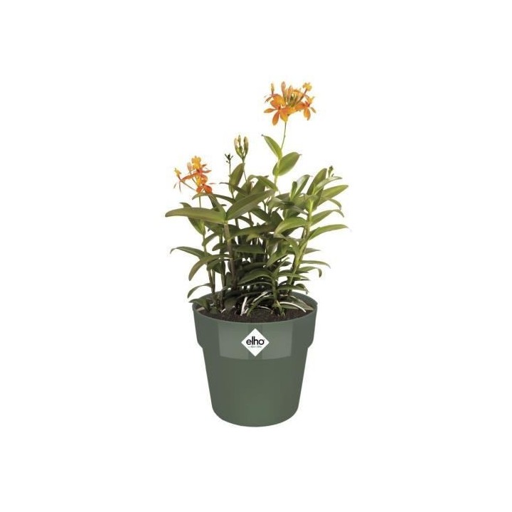 Pot de fleur B.for Original Rond 30 leaf green