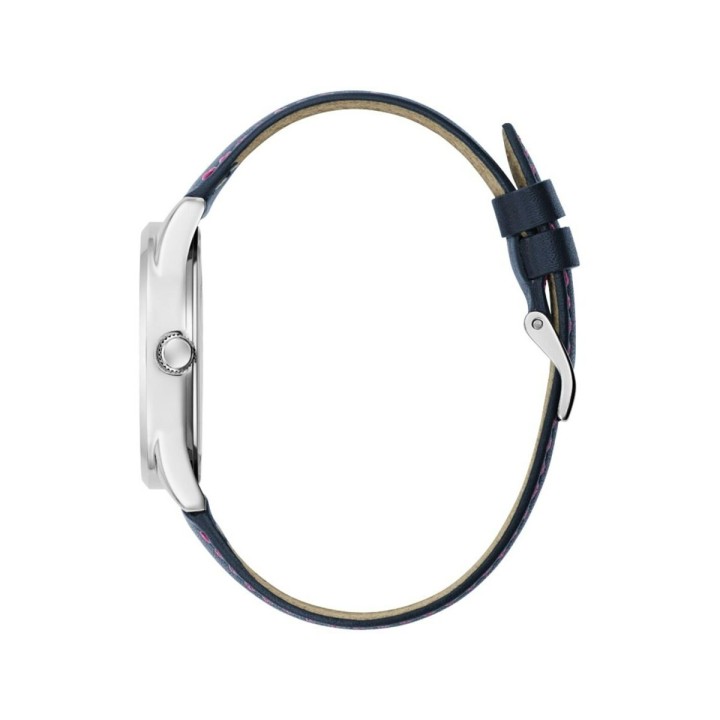 Carte postale microlorge