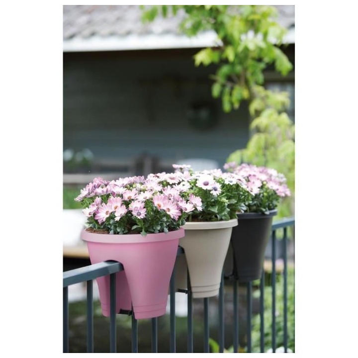 ELHO Bac de balcon Corsica Flower Bridge 30 - Violet vif - Extérieur