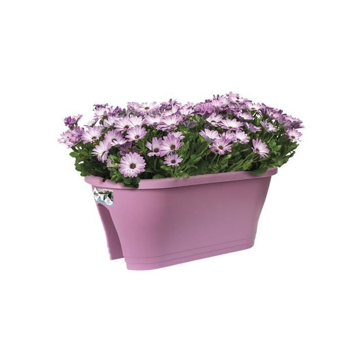 ELHO Bac de balcon Corsica Flower Bridge 60 - Violet vif - Extérieur