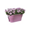 ELHO Bac de balcon Corsica Flower Bridge 60 - Violet vif - Extérieur & Balcon - L 29,6 x W 58 x H 24 cm