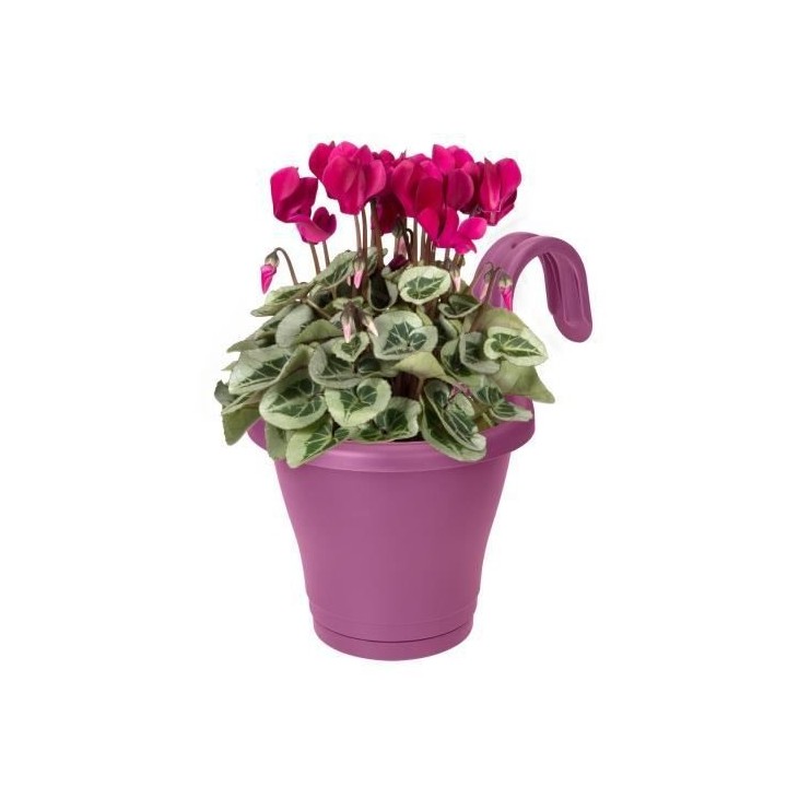 ELHO Jardiniere de balcon Corsica Simple - Violet vif - Extérieur & B