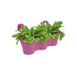 ELHO Jardiniere de balcon Corsica Triple - Violet vif - Extérieur & Balcon - L 27,1 x W 53,5 x H 25,9 cm