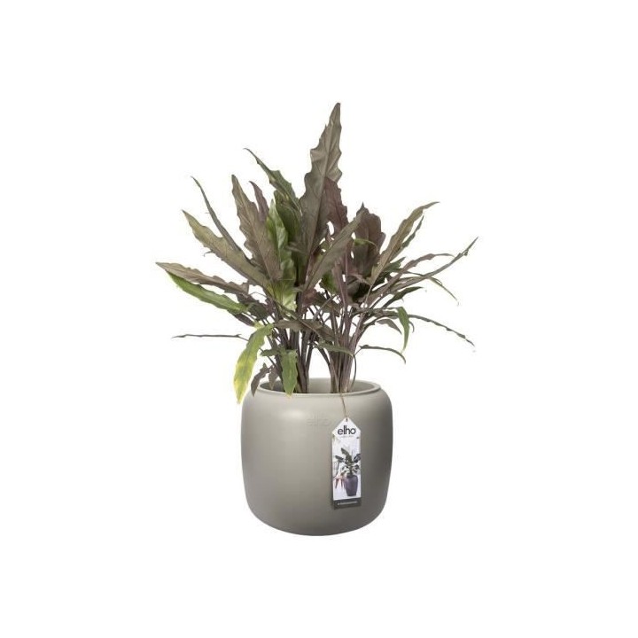 Pure Beads Small 40 greige