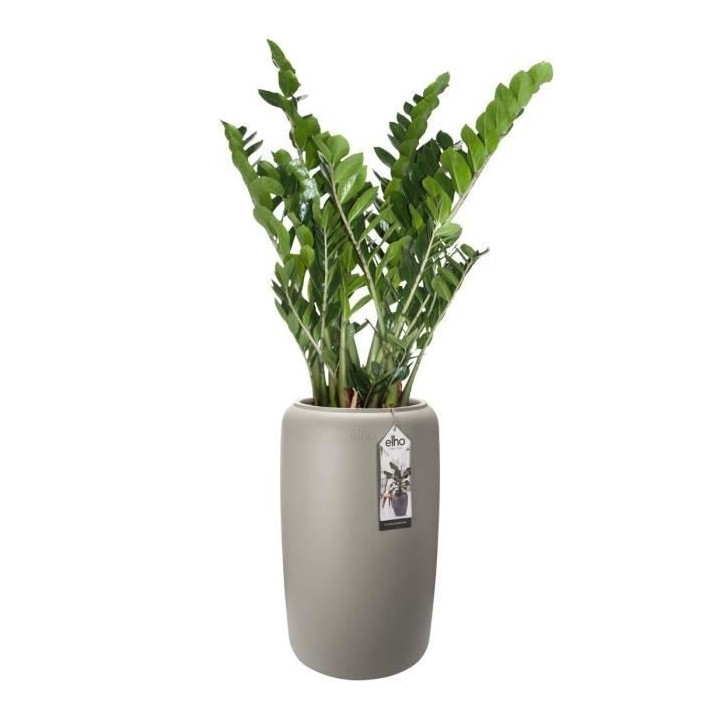 Pure Beads Large 40 greige