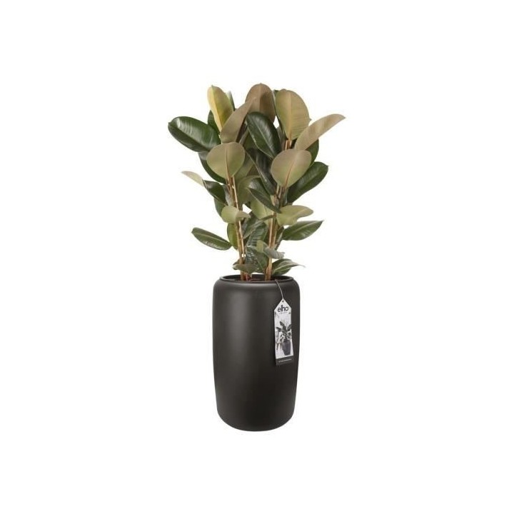 Pure Beads Large 40 brun noisette