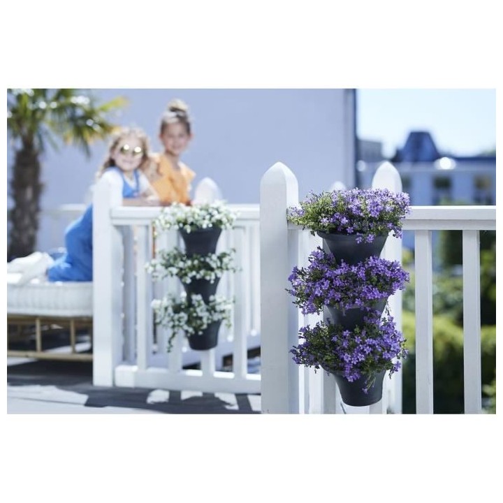 Corsica Foret Vertical 24 Set/3 anthracite