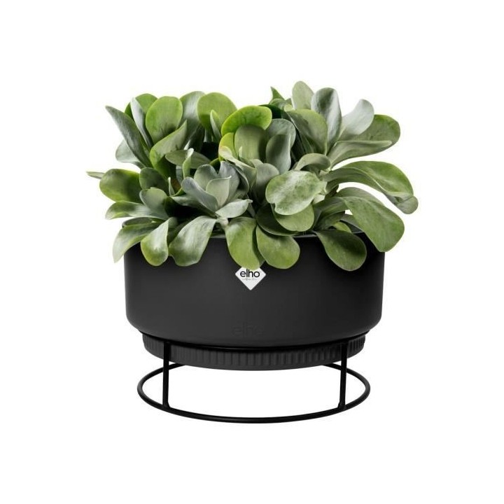 B.for Studio Coupe 30 living noir