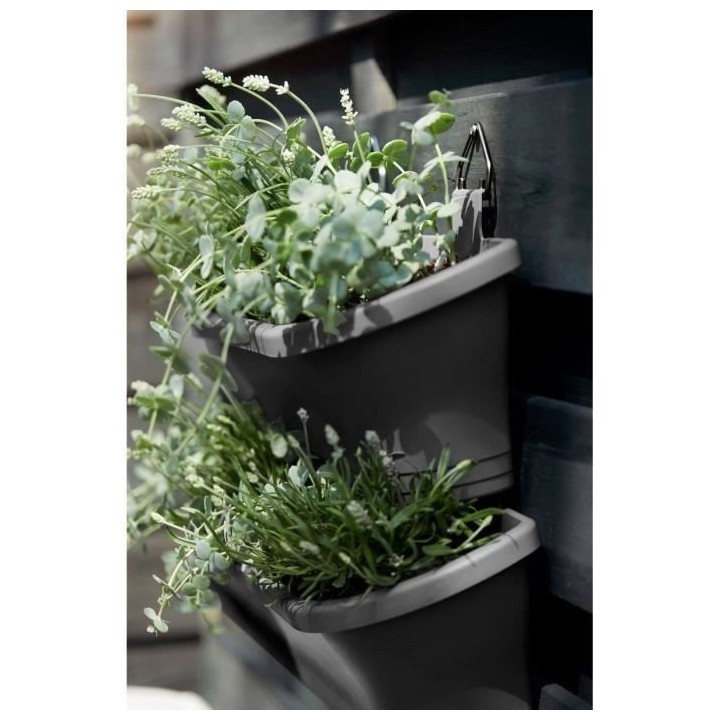 Corsica Vert Forest Large Set 2 anthracite