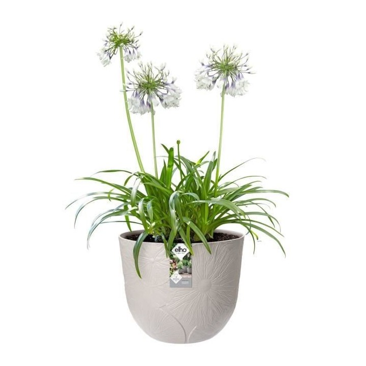 Pot de fleur Fuente Lily Rond 30 gris granité