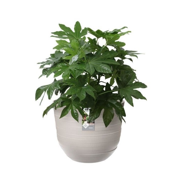 Pot de fleurs Fuente Rings Rond 30 gris granité