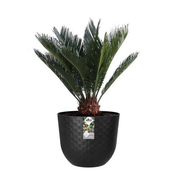 Pot de fleur Fuente Grains Rond 38 onyx noir