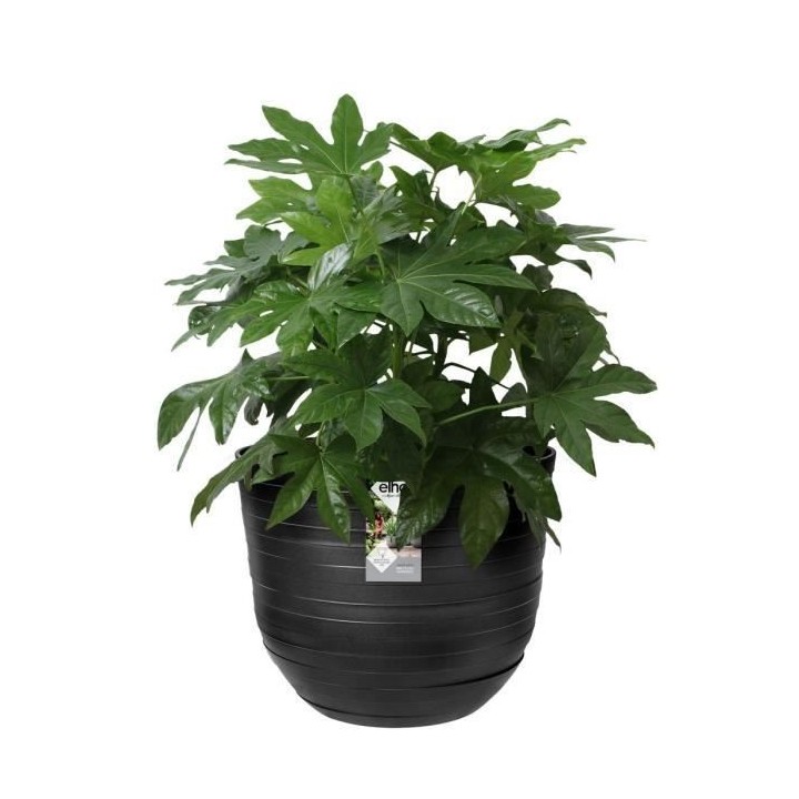 Fuente Rings Rond 38 onyx noir