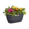 ELHO - Pot de fleurs - Vibia Campana Easy Hanger Medium - Anthracite - Balcon extérieur - L 24.1 x W 36 x H 26.5 cm