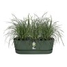 ELHO - Pot de fleurs - Greenville Easy Balcony 52 - Leaf Green - Balcon - L 21.2 x W 52 x H 19.4 cm