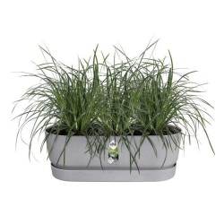 ELHO - Jardiniere de balcon - Greenville Easy Balcony 52 - Living Ciment - Balcon - L 21.2 x W 52 x H 19.4 cm