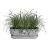 ELHO - Jardiniere de balcon - Greenville Easy Balcony 52 - Living Ciment - Balcon - L 21.2 x W 52 x H 19.4 cm