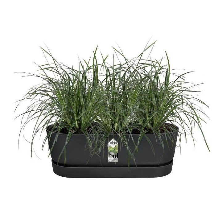 ELHO - Pot de fleurs - Greenville Easy Balcony 52 - Living Noir - Balc