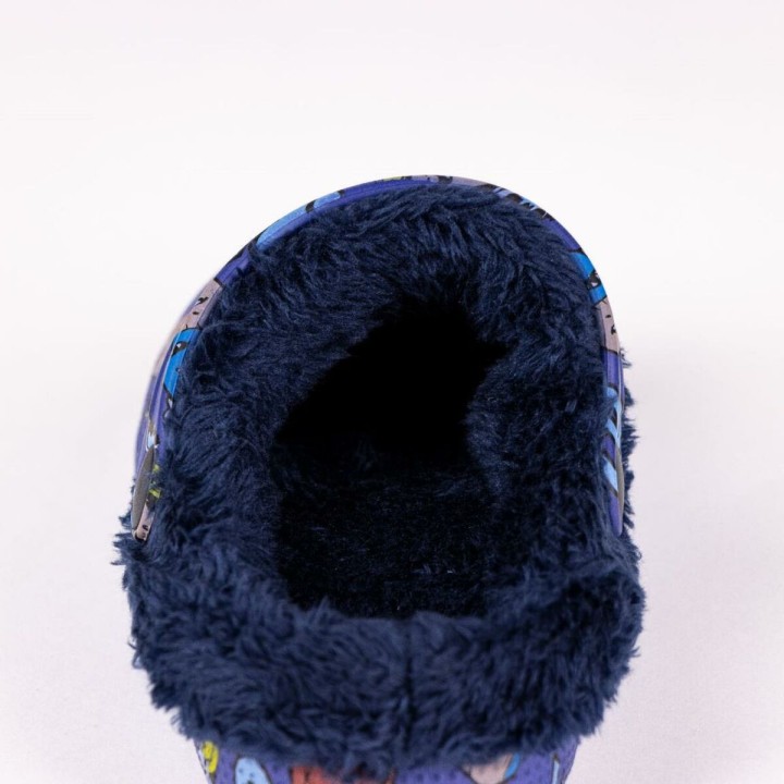 Carte postale microlorge