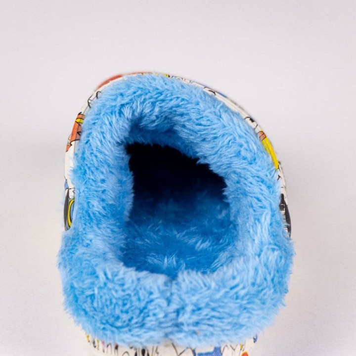 Carte postale microlorge