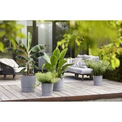 ELHO - Pot de fleurs - Greensense Aqua Care Rond 30 - Ciment Clair - Intérieur/extérieur - Ø 29.5 x H 29.1 cm