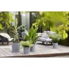 ELHO - Pot de fleurs - Greensense Aqua Care Rond 30 - Ciment Clair - Intérieur/extérieur - Ø 29.5 x H 29.1 cm