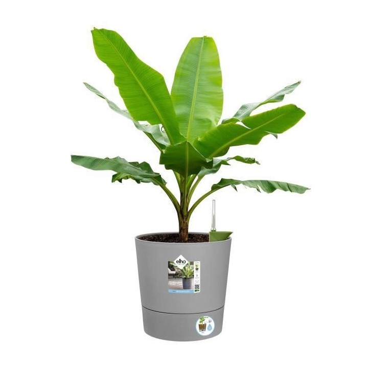 ELHO - Pot de fleurs - Greensense Aqua Care Rond 30 - Ciment Clair - I