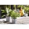 ELHO - Pot de fleurs - Greensense Aqua Care Carré 30 - Ciment Clair - Intérieur/extérieur - Ø 29.5 x H 30.2 cm