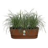 ELHO Jardiniere de balcon Greenville Easy Balcony 52 - Marron Glacé - Balcon - L 21.2 x W 52 x H 19.4 cm