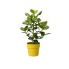 Pot de fleurs B.for Original Rond 22 ocre