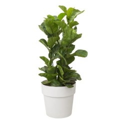 Pot a fleurs B.for Original Rond 22 blanc