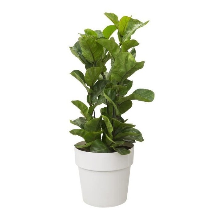 Pot a fleurs B.for Original Rond 22 blanc