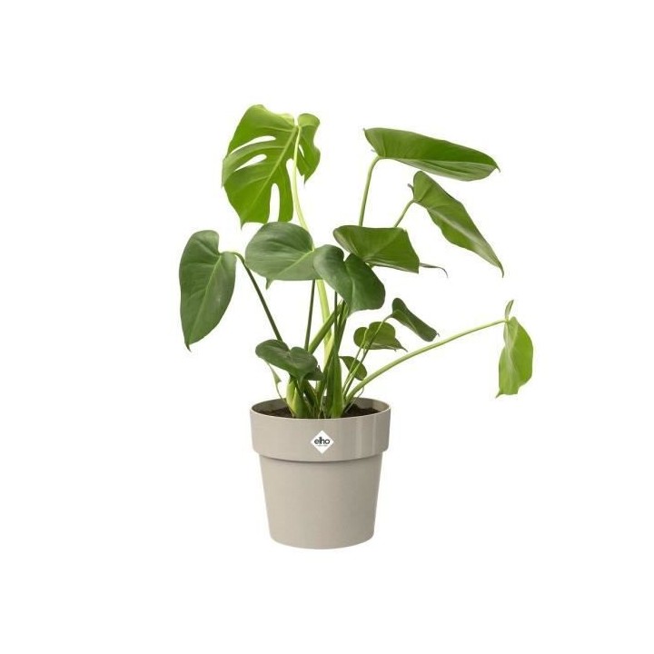 Pot de fleur B.for Original Rond 25 gris chaud