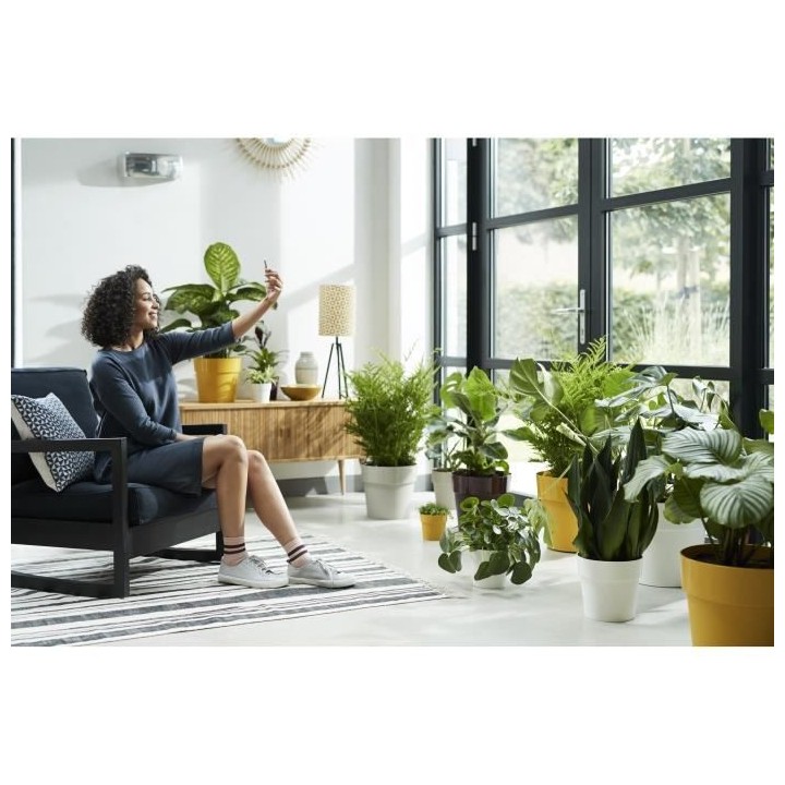 B.for Original Rond 25 mûre violet