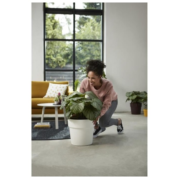 B.for Original Rond Roues 35 ocre