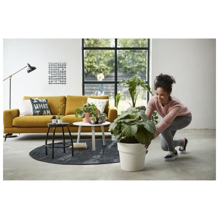 B.for Original Rond Roues 35 gris chaud