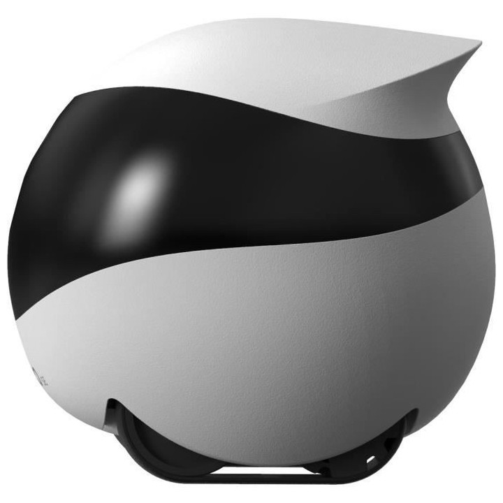 Caméra de surveillance ENABOT EBO SE