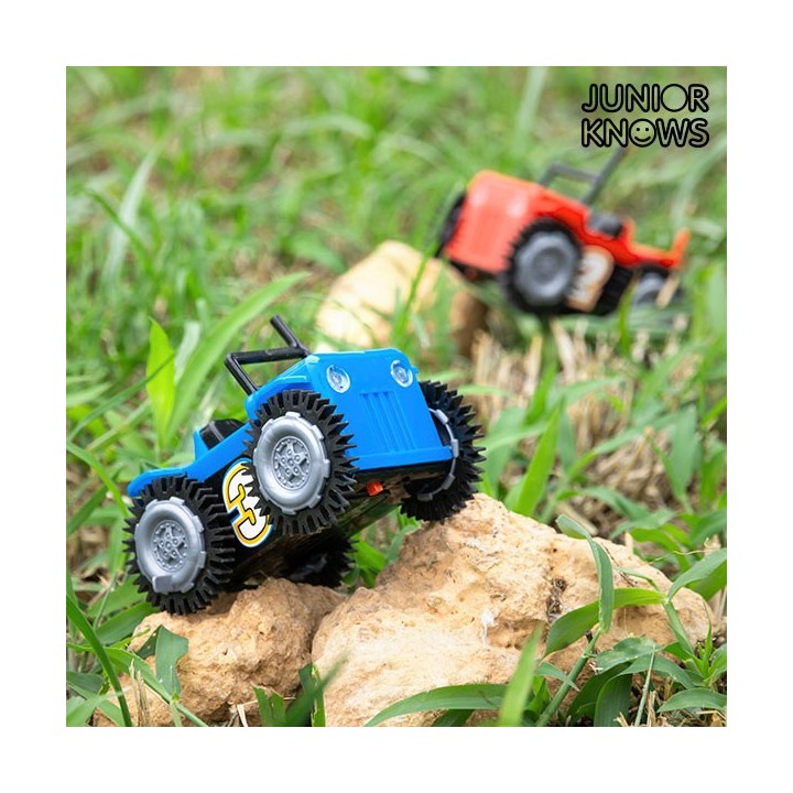 Carte postale microlorge