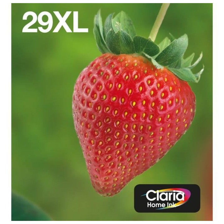 EPSON Multipack 29 XL - Fraise - Noir, Cyan, Jaune, Magenta (C13T29964